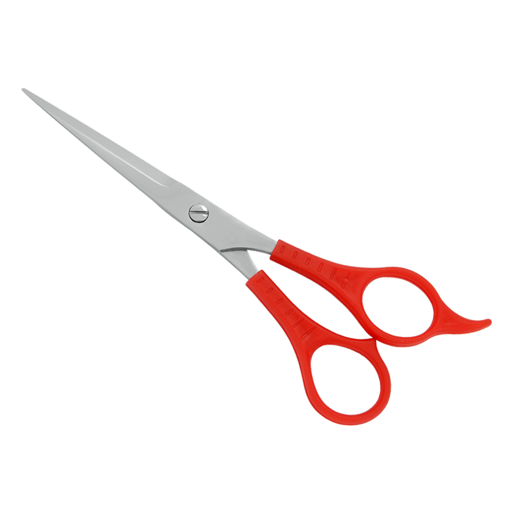 Plastic Handle Scissors (Model: MBT-22102)